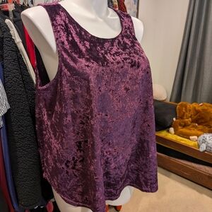 Purple Velvet Sleeveless Top - 3X